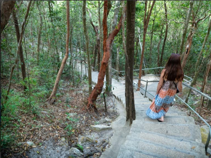 Woman on a nature walk to Langkawi Skybridge